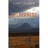 Wilderness, The Gateway To The Soul: Spiritual Enlightenment Through Wilderness book cover