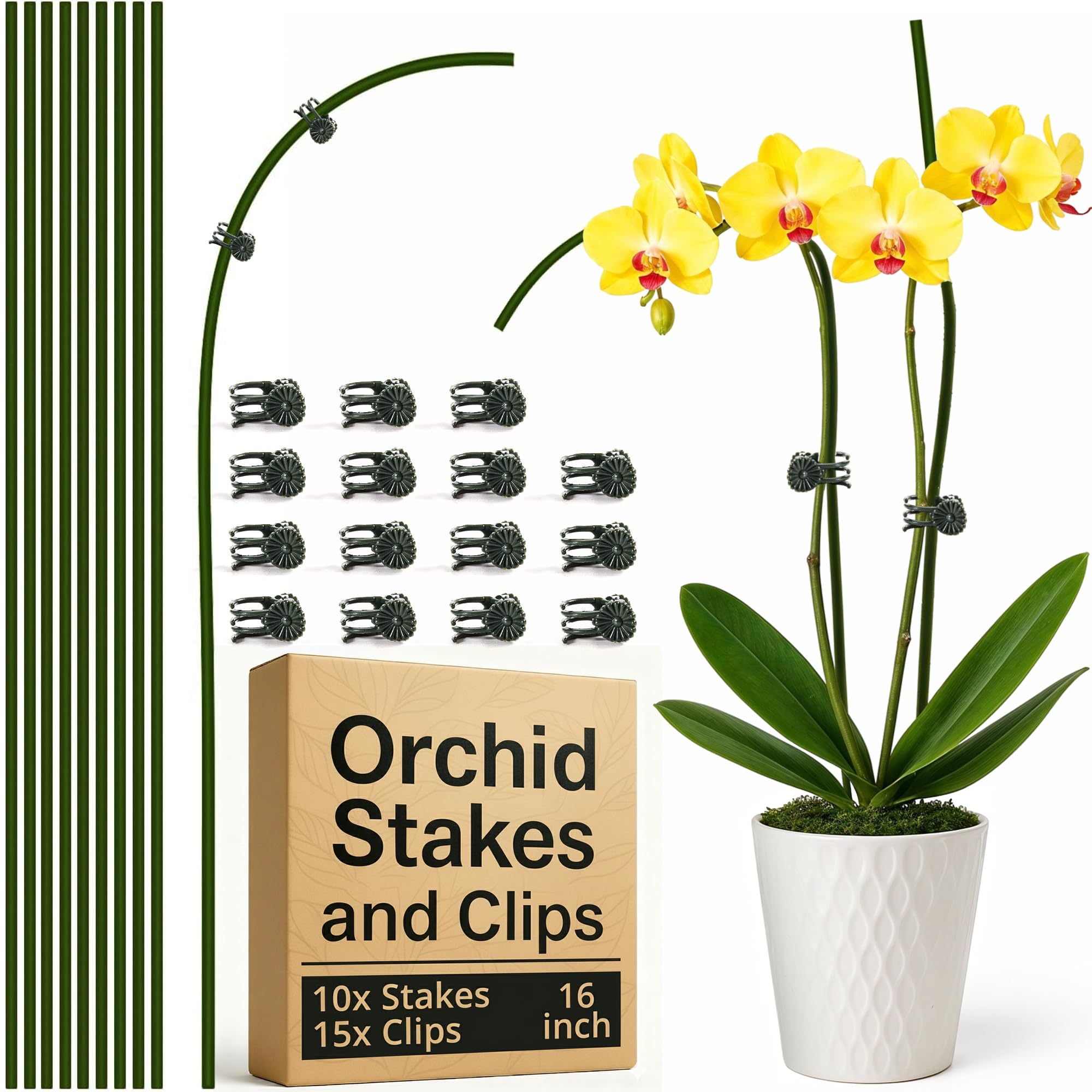 Photo 1 of 10Pcs Plant Support Stakes for Indoor Plants 16 Inches with 15 Clips, Plant Sticks for Indoor and Outdoor Plants, Tall Bendable Orchid Clips and Single Stem Flower Stakes (Green)