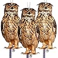 Kungfu Mall Owl to Keep Birds Away, 3 Pack Bird Scare Owl Fake Owl, Reflective Hanging Bird Decoration, Dual-Side Printed Owl to Keep Birds Pigeon Away from Patio Garden