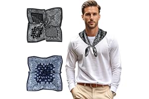 GERINLY Mens Silk Feel Scarf 2 Pack, 27 Inch Neckerchief Ascot, Novelty Head Bandana Wrap