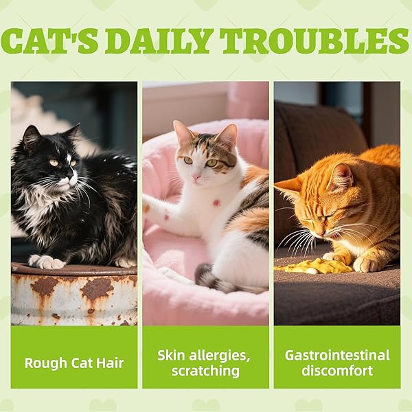 WELLIX 13.5OZ PROBIOTIC HEALTH SUPPLEMENT CAT TREATS FOR INDOOR CATS – CHICKEN FLAVOR KITTEN SNACKS FOR GUT+IMMUNE HEALTH – ADD FOS & INULIN CAT TRAINING BISCUITS
