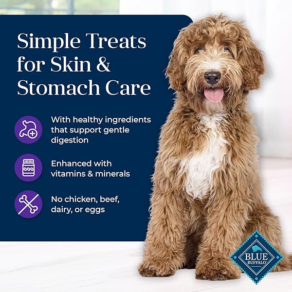 BLUE BUFFALO BASICS DOG BISCUITS, SKIN & STOMACH CARE CRUNCHY DOG TREATS, TURKEY RECIPE, 6-OZ BAG