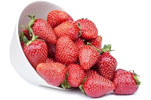 PRI GARDENS Evie-2 Strawberry Everbearing Bare Roots Plants, 25 per Pack, Hardy Plants Non GMO