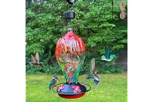 GERYMU 30 Ounces Glass Hummingbird Feeder,Hummingbird Feeders for Outdoors Hanging, Blown Glass Humming Birds Feeders for Outside with Perch Leak Proof Red