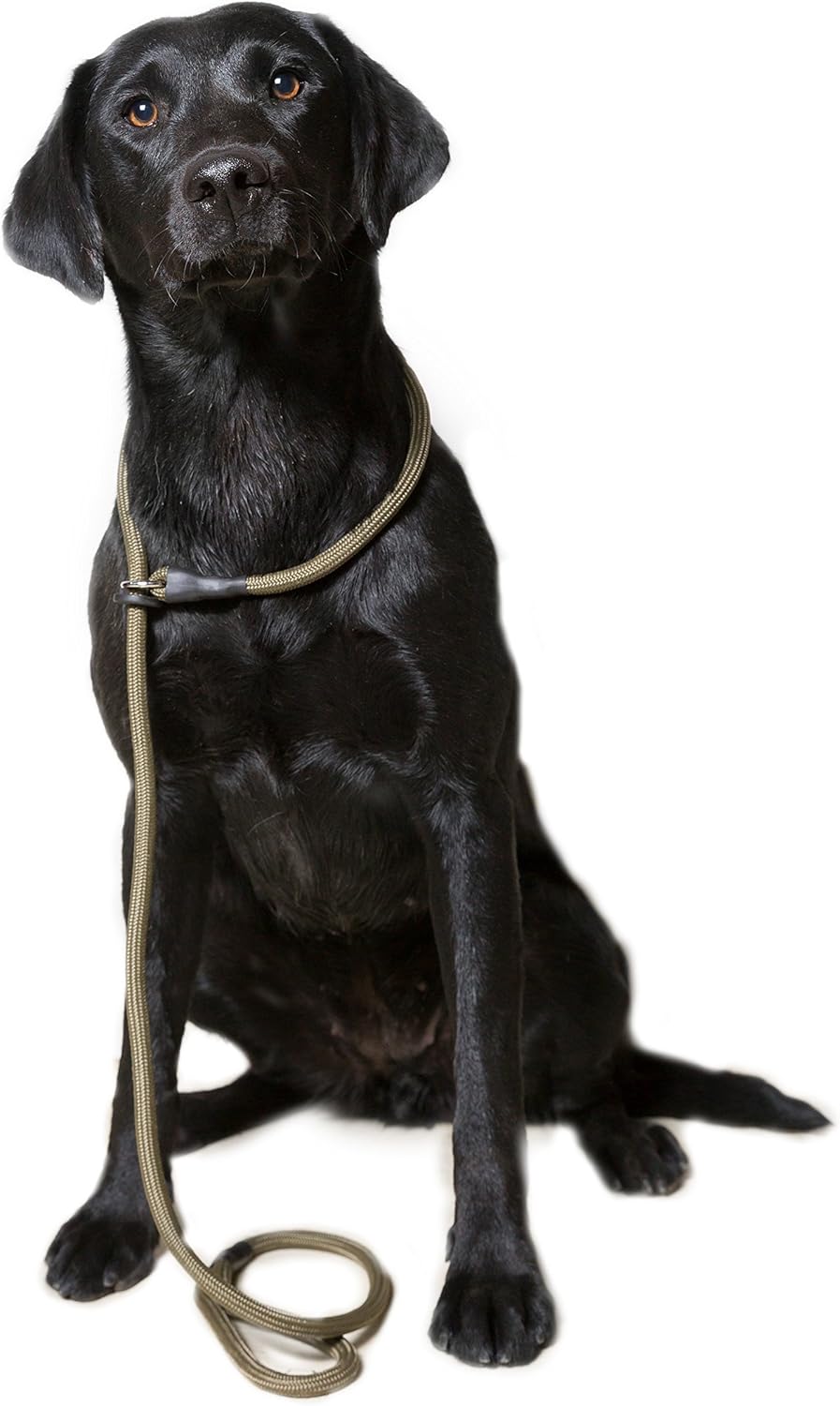 fish pond filters for sale