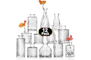 Aheroi Glass Bud Vase Set of 12, Glass Vase for Flower, Clear Small Flower Vases for Centerpieces, Mini Vases for Home Table Decor, Vintage Glass Vase for Wedding Decorations