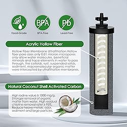 Montemono Black Filter Compatible with Big Berkey