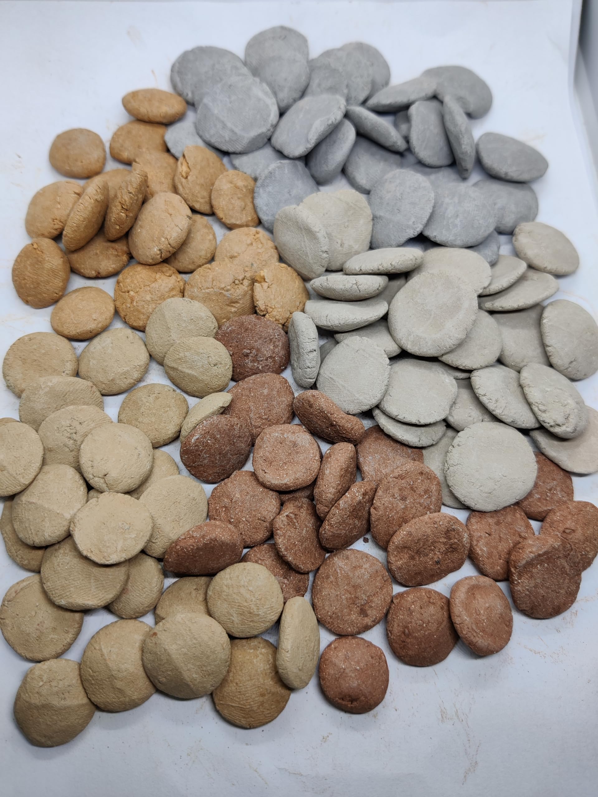 Assorted Clay Coins 200 GMS