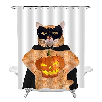 Amazon Com Mitovilla Cat In Black Costume With Halloween Pumpkin