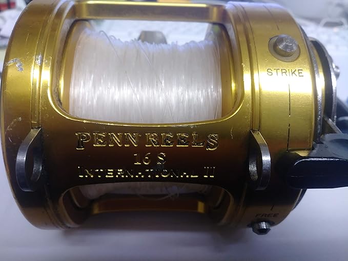 Penn 16s international 2 Clearance