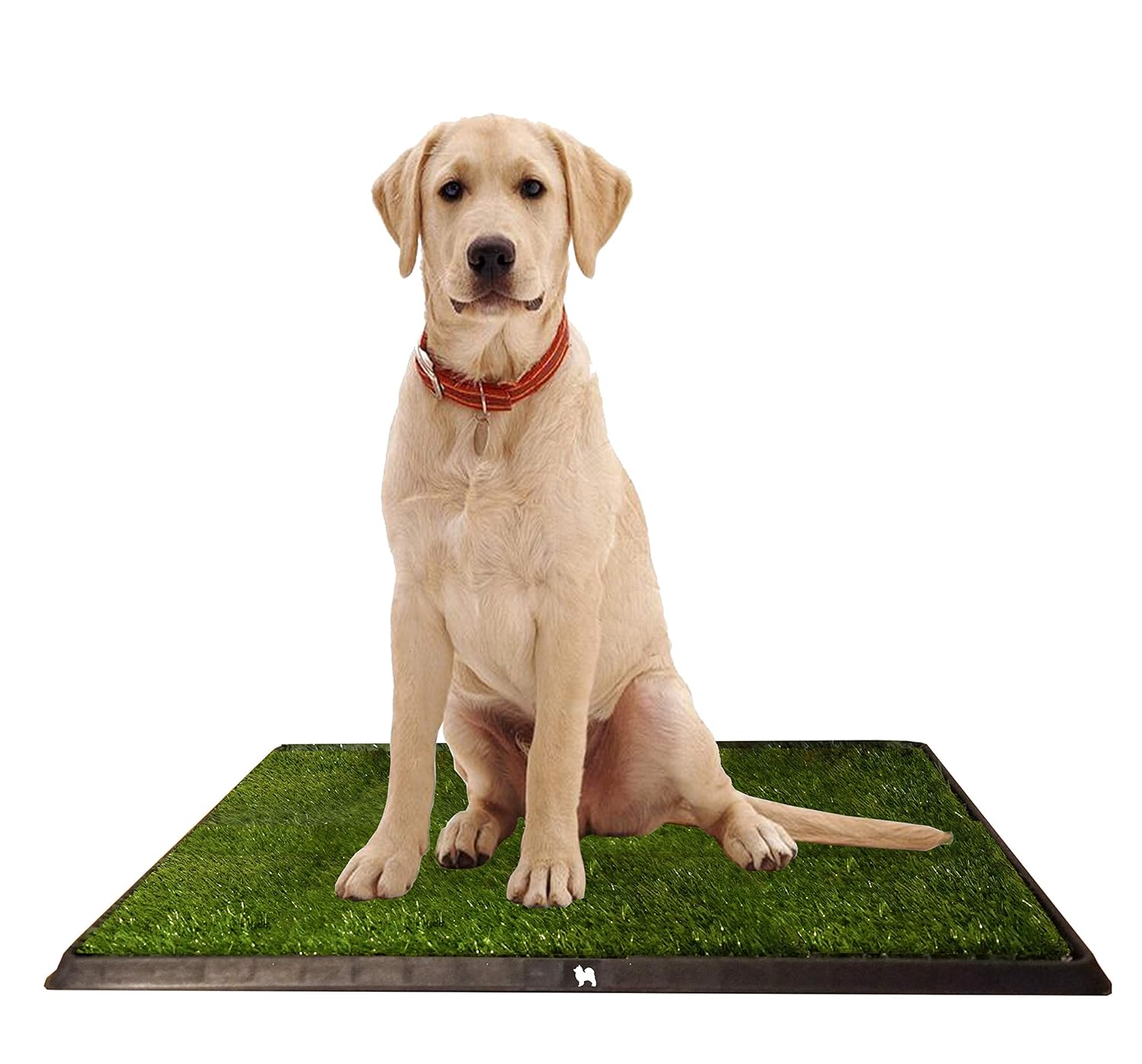 Puppy Potty Grass Toilet TrainerTray for Dogs and Puppies Large 20 x 25 Inch. Training Grass Pee Pad For Indoor, Outdoor Use, Porches, Apartments and HousesGrass Turf Mat
