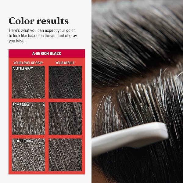 JUST FOR MEN EASY COMB-IN COLOR MENS HAIR DYE, EASY NO MIX APPLICATION WITH COMB APPLICATOR – RICH BLACK, A-65, PACK OF 1