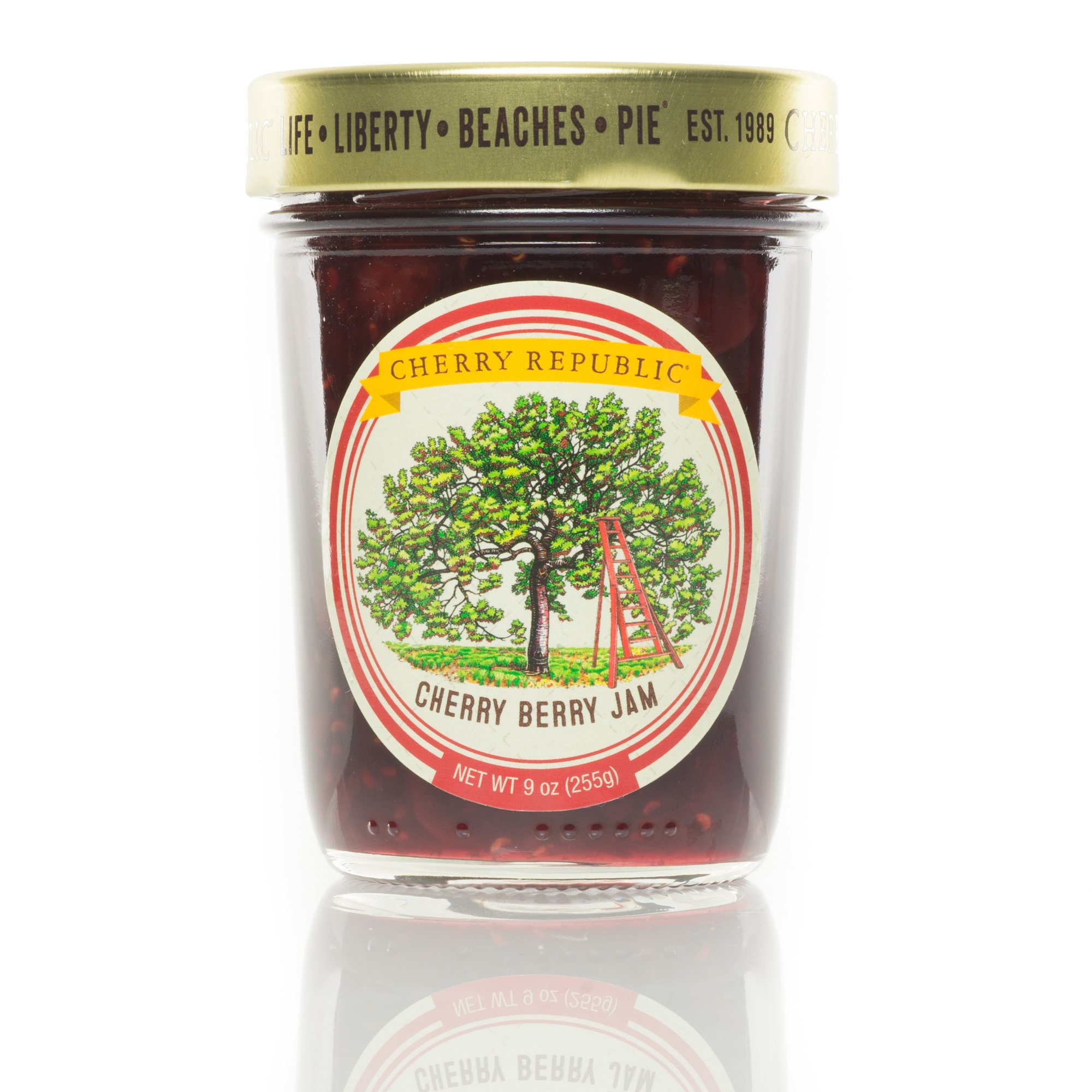 Cherry Republic Hot Cherry Salsa High Heat Salsa Mix with