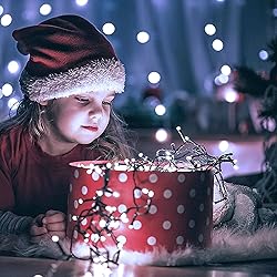 JMEXSUSS 250 LED White Christmas String