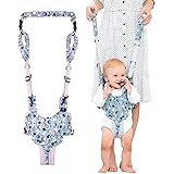 angel wings baby walker