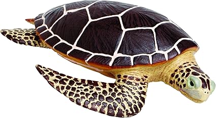 turtle toys amazon