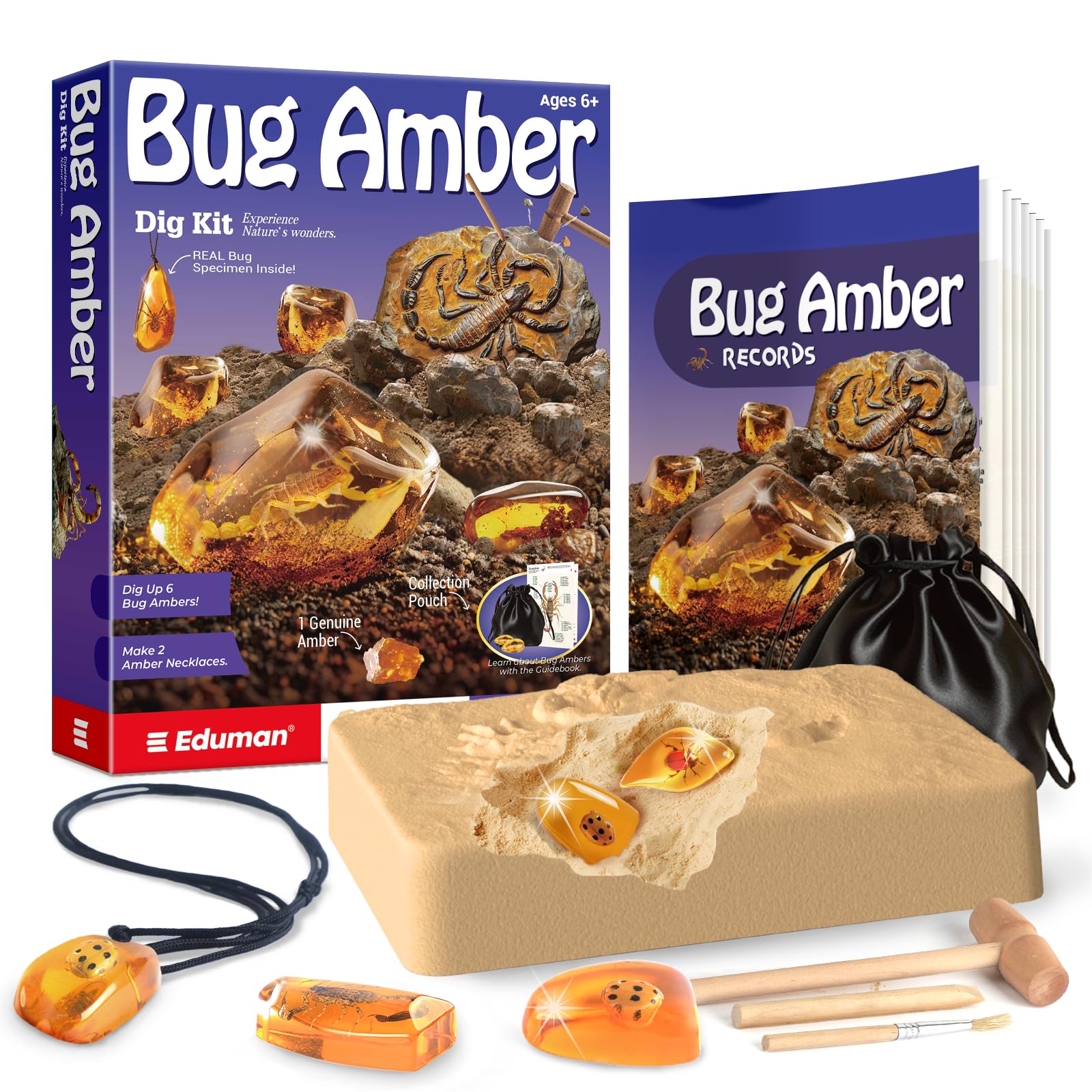 EDUMAN Amber Fossil Dig Kit, 1Genuine Amber, 6 Real Insect Crystals & Gemstone, Rocks & Stones & Bugs Excavation Kits, Educational Stem Toys Digging Set, Science Kit for Kids Age 6 7 8 9 10 11 12