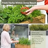 VegTrug 8 Pocket Herb Planter Natural – Raised Bed for Herbs view 7