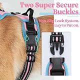 Rabbitgoo Dog Harness Large No Pull Reflective Adjustable Pink Blue L view 5