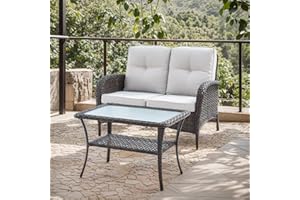 HUMMUH Outdoor Loveseat Sofa 2-Seat PE Wicker Couch with Coffee Table,Deep Seat High Back Patio Furniture for Balcony,Garden,Porch,Deck(Beige)