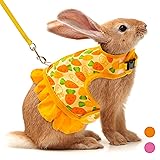 Rabbit Harness and Leash for Walking Escape Proof