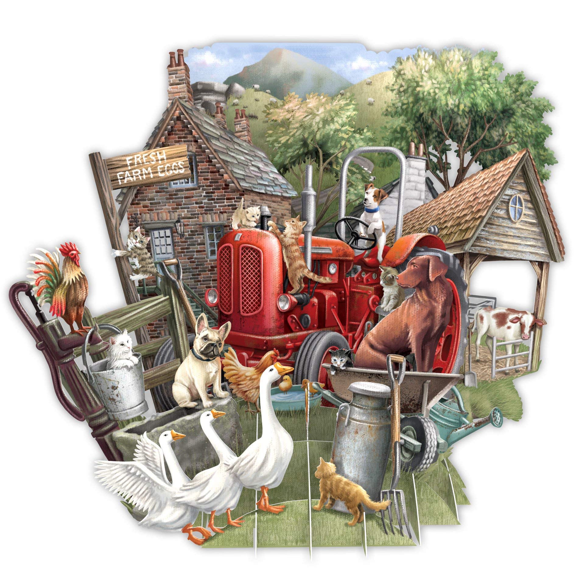 Paper D'Art Farmyard Top of The World Pop Up 3D Greetings Card - General/Thank You