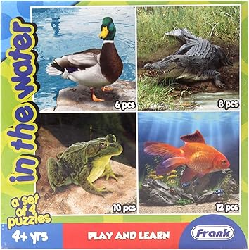 Frank 4 Puzzles In the Water