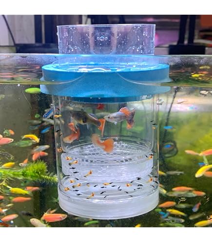 Fish Net Isolation Box