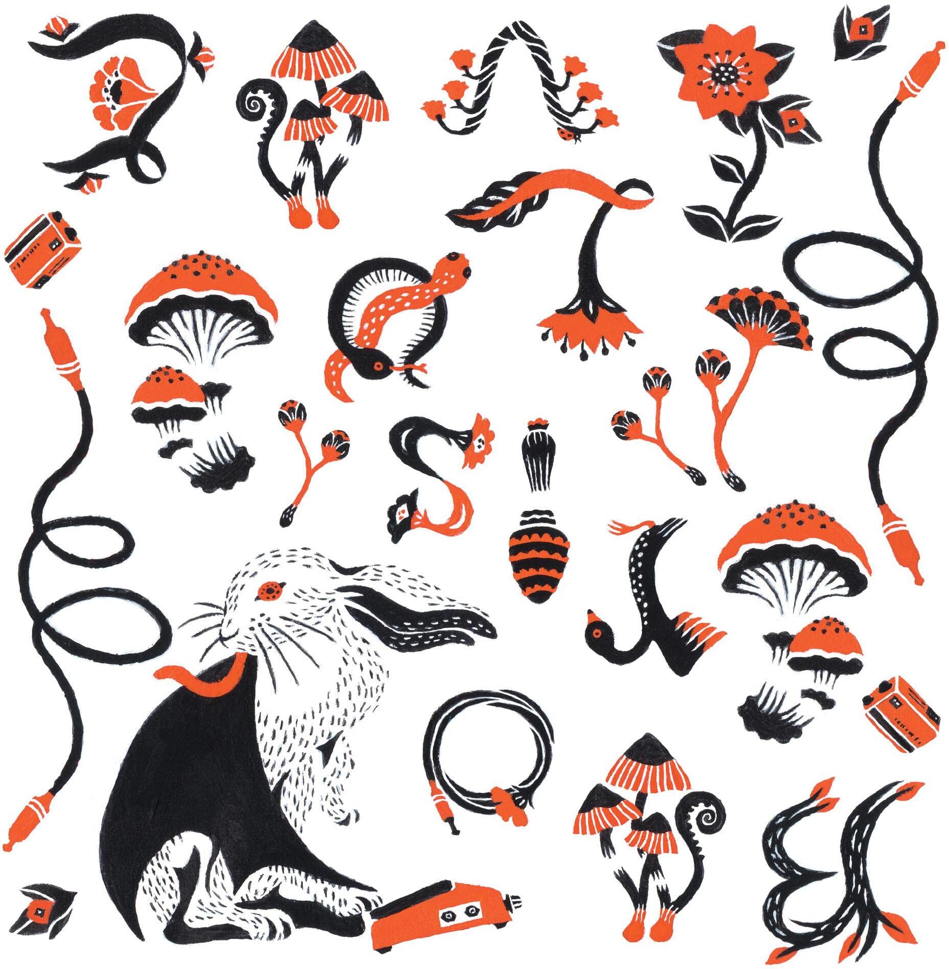 Love & Evol (2LP) [VINYL]