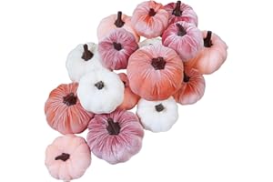 Winlyn 16 Pcs Assorted Artificial Velvet Pumpkins Blush Coral Pink Peach Cream Decorative Fabric Pumpkins Foam Pumpkins for Fall Wedding Baby Shower Thanksgiving Pastel Halloween Wreath Table Décor