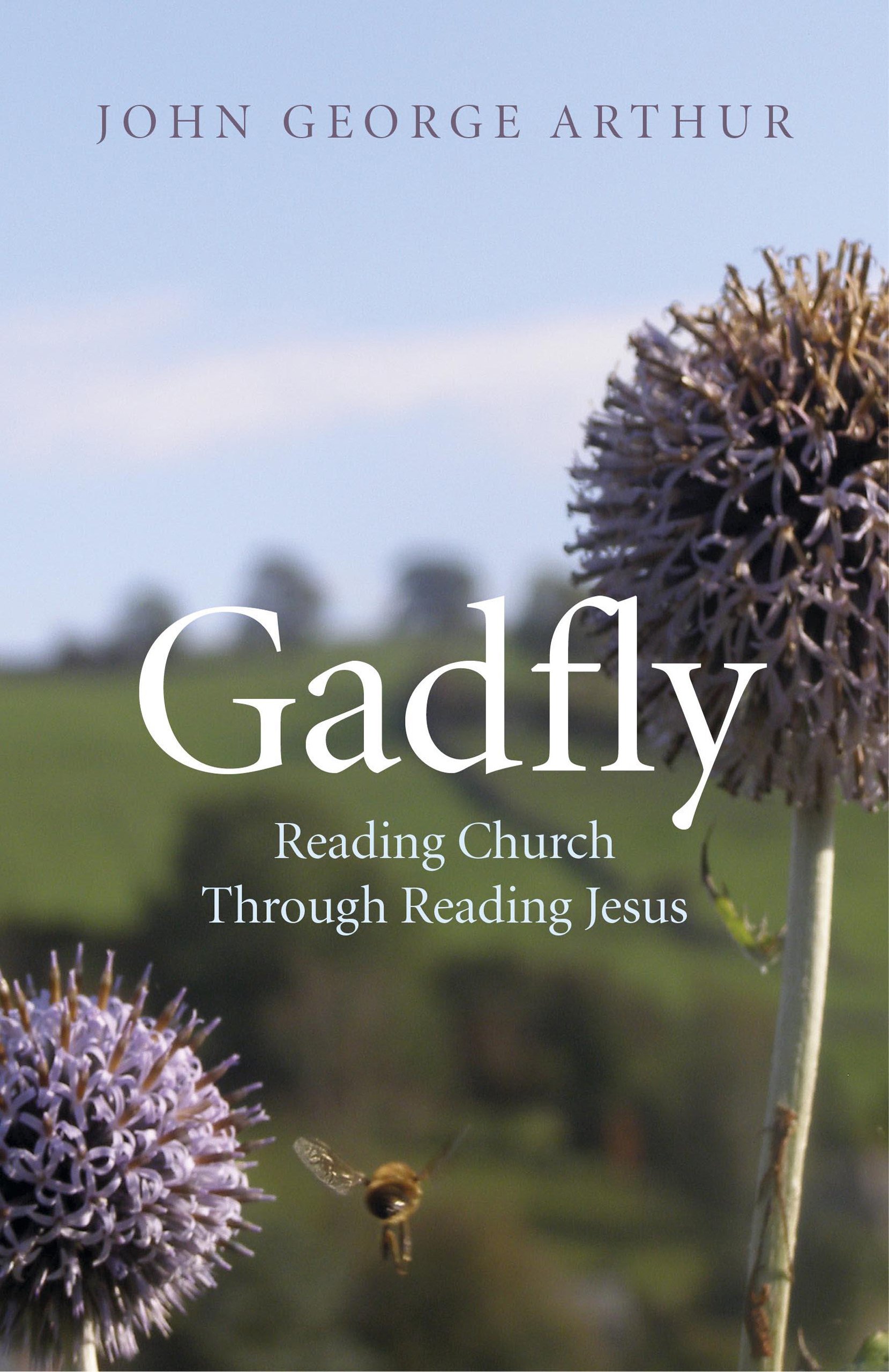 Gadfly: Reading Church Through Reading Jesus (9781782793250)