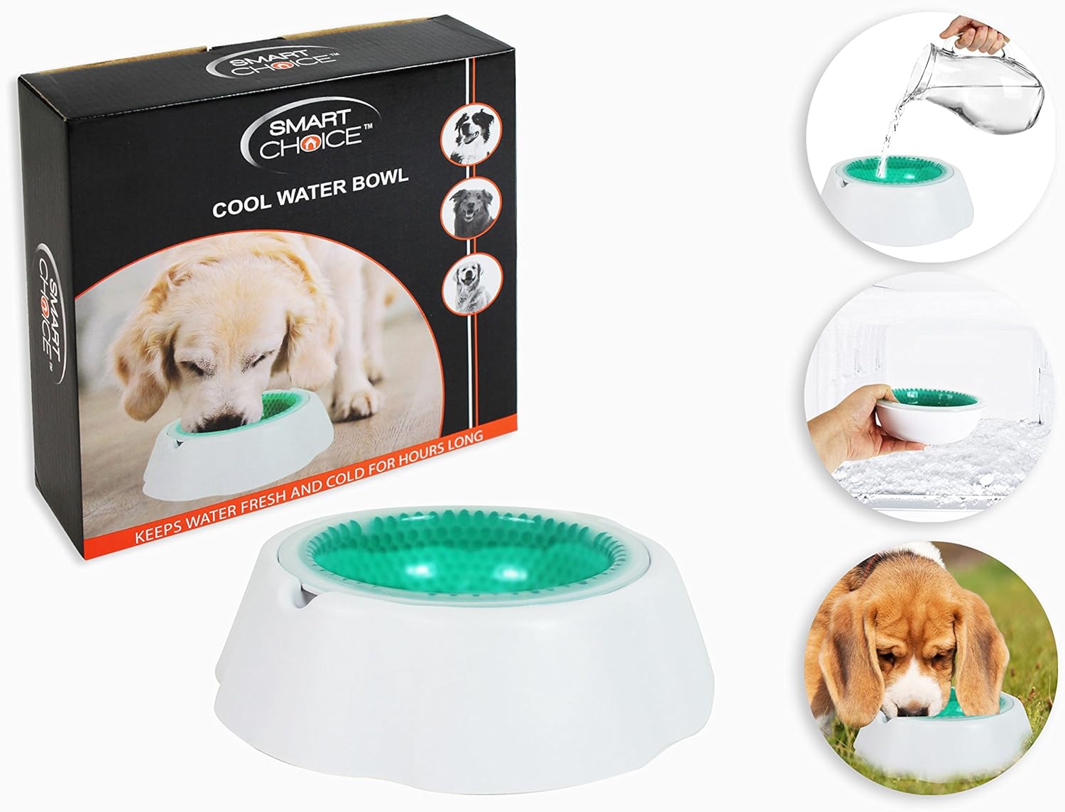 smart dog bowl