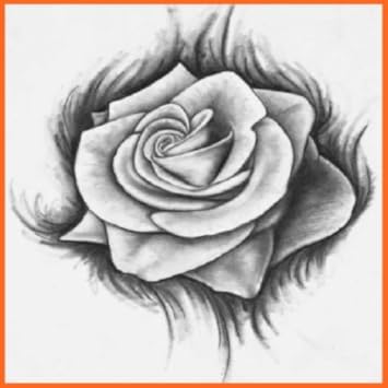 Amazoncom How To Draw A Rose Appstore For Android