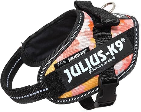 julius k9 sale