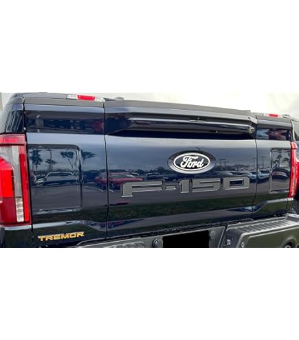 F-150 Tailgate Insert Letters; Magnetic (18-20 F-150 W/o Tailgate Applique - Foto 12