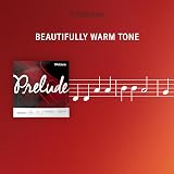 DAddario Prelude 1/2 Scale Cello String A String Medium Tension view 4