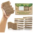 AIRNEX Biodegradable Natural Kitchen Sponge - Compostable Cellulose and Coconut Walnut Scrubber Sponge - Pack of 12 Eco Frien