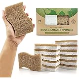AIRNEX Biodegradable Natural Kitchen Sponge - Compostable Cellulose and Coconut Walnut Scrubber Sponge - Pack of 12 Eco Frien