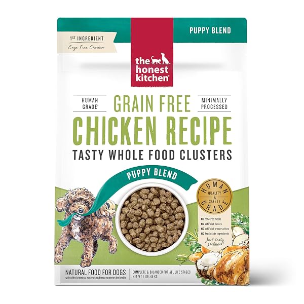 THE HONEST KITCHEN WHOLE FOOD CLUSTERS PUPPY GRAIN...