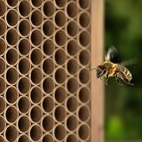 Navaris Cardboard Bee Nesting Tubes Pack of 200 15 cm 8 mm Diameter view 2