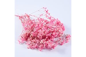 Birtlynn Preserved Baby's Breath 3 Bunches, 100% Natrual Fresh Gypsophila Long Lasting Flowers for Vase Arrangements Home Decoration Photo Props Parties and Weddings, DIY Décor-Pink