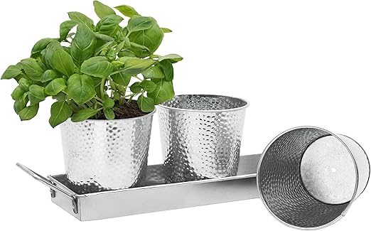 Amazon Com Windowsill Herb Pots By Saratoga Home Set Of 3