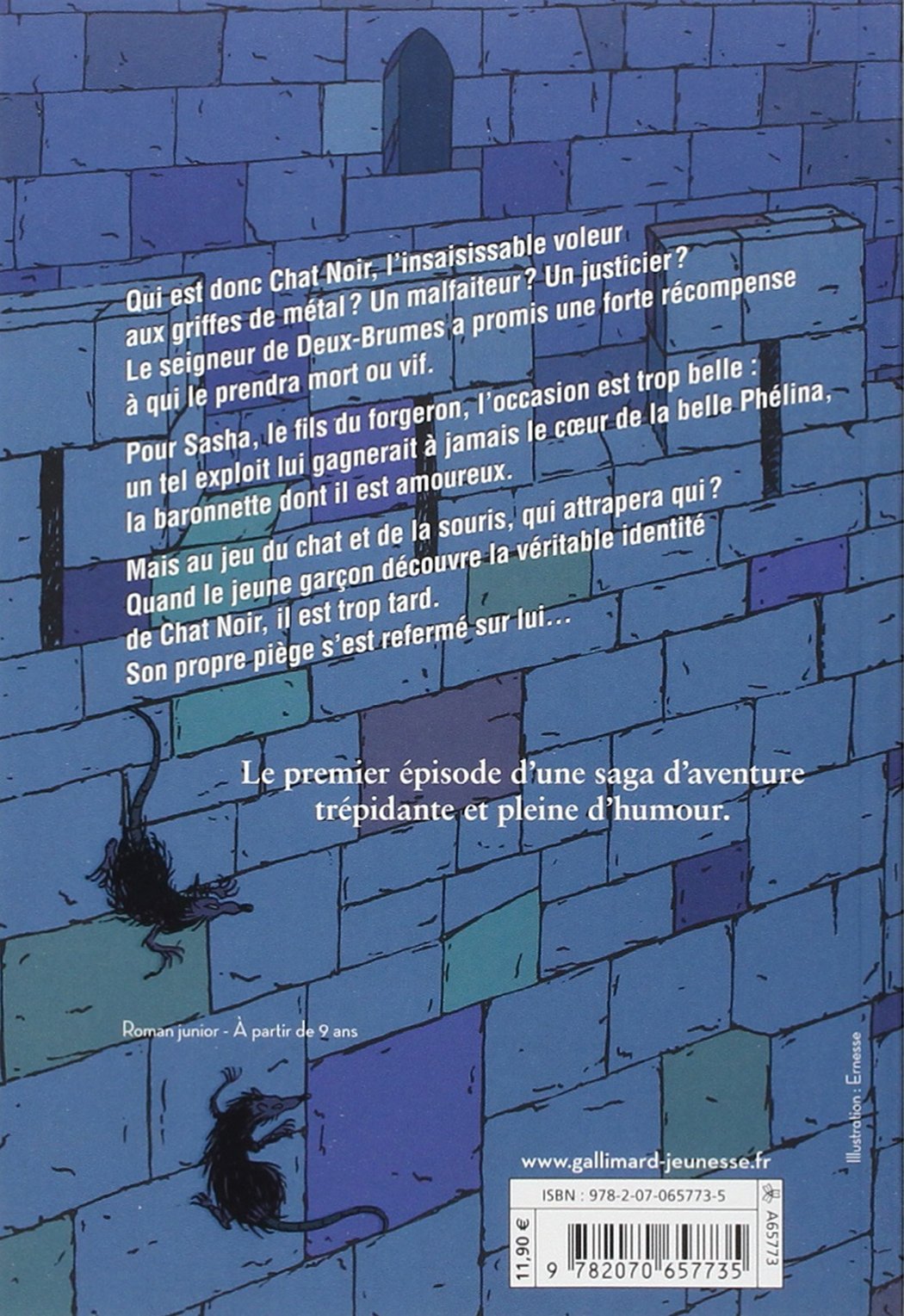 Chat Noir Tome 1 Le Secret De La Tour Montfrayeur Amazon Fr Darko Yann Livres