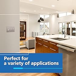 LIDER Brushed Finish Decorator Switch