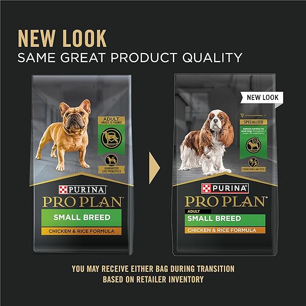 PURINA PRO PLAN SMALL BREED DRY DOG FOOD CHICKEN AND RICE FORMULA WITH GUARANTEED LIVE PROBIOTICS – 6 LB. BAG