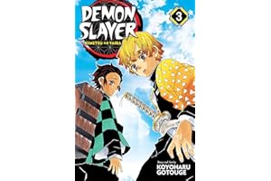 Demon Slayer: Kimetsu no Yaiba, Vol. 3 (3)