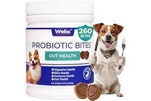 260 Bites Wellix Probiotics for Dogs - Dog Probiotics and Prebiotics with Pumkin - Improve Digestive Health, Allergies and It