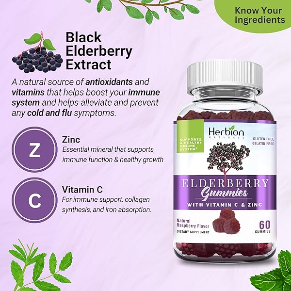 HERBION ELDERBERRY GUMMIES WITH VITAMIN C & ZINC – HEALTHY IMMUNE SYSTEM SUPPORT – GLUTEN-FREE & GELATIN-FREE – 60 GUMMIES FOR ADULTS & CHILDREN 4 YEARS & ABOVE – MADE IN USA, 60 COUNT (PACK OF 1)