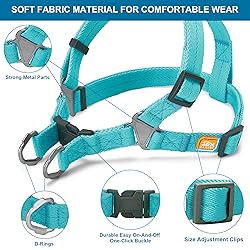 Jax Planet Dog Harness and Leash - Comfortable