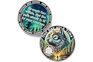 IELCJJ One Day at a Time 4 Year Sobriety Coin - Recovery Aurora Forest Wolf AA Coins - Addiction NA AA Chips and Medallions - Celebrate 1-20 Living Clean Narcotics Alcoholics Anonymous Gifts for Men Women